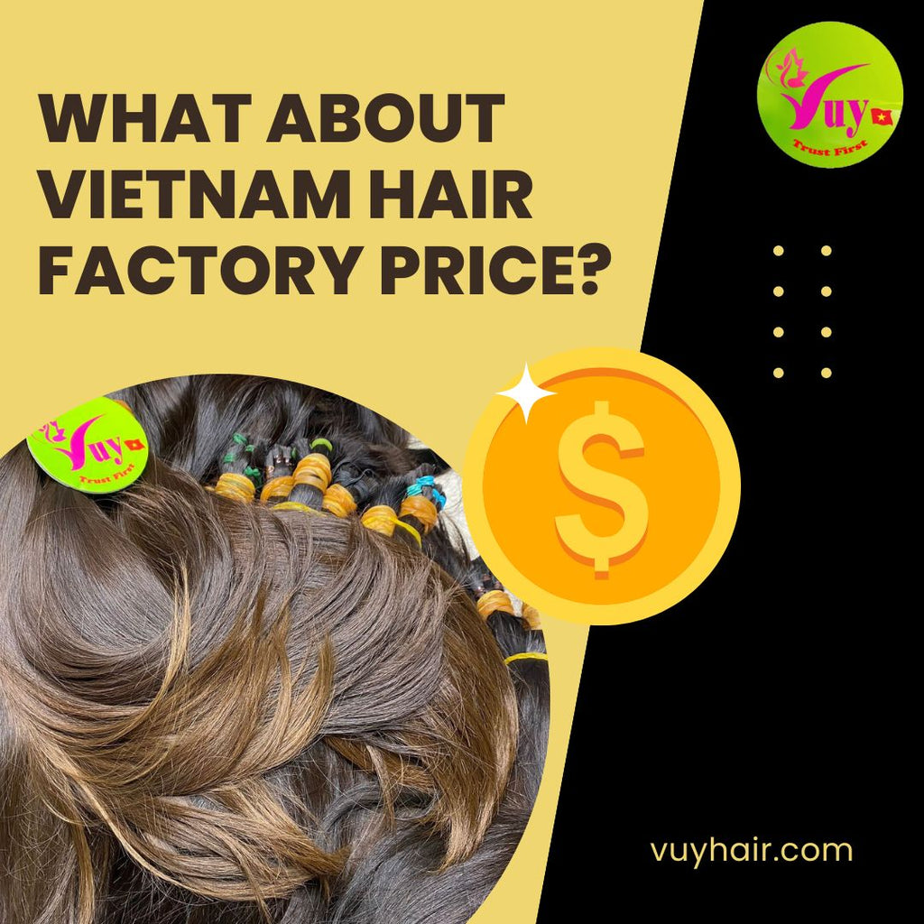 Discover Competitive Prices at Our Vietnam Hair Factory