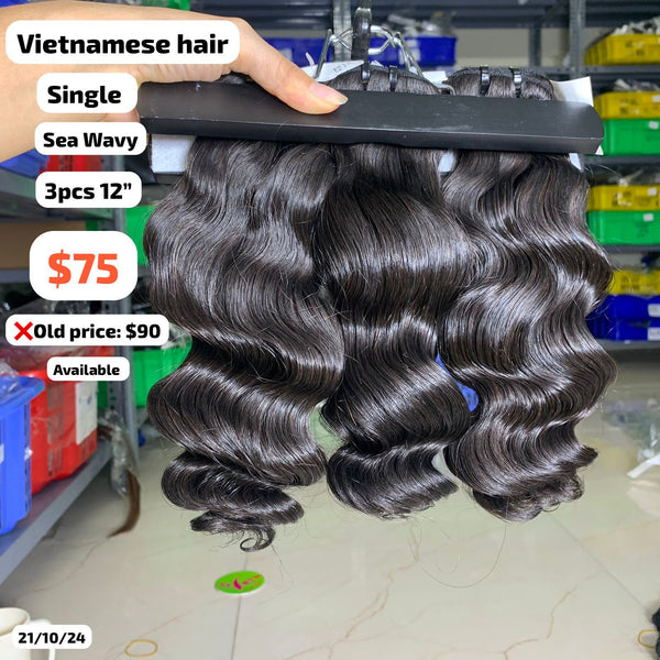 3pcs 12" Sea wave single drawn Vietnamese hair