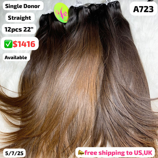 12pcs 22" straight single donor brown hair (A723)