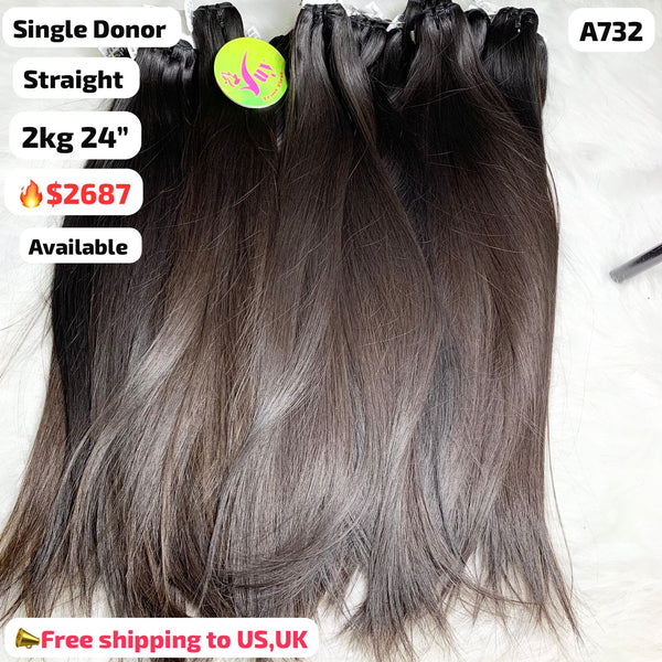 20pcs 24" straight single donor hair (A732)