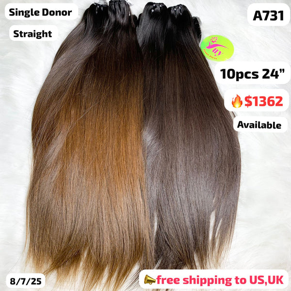 10pcs 24" straight single donor hair (A731)