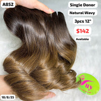 3pcs 12" Natural wave single donor hair light end color (A852)