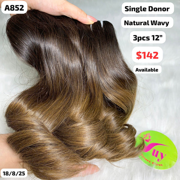 3pcs 12" Natural wave single donor hair light end color (A852)
