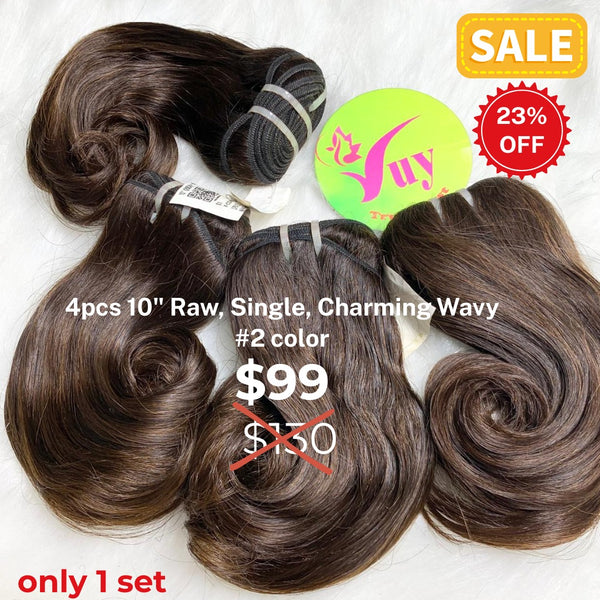 4pcs 10" Charming wave single drawn raw hair #2 color